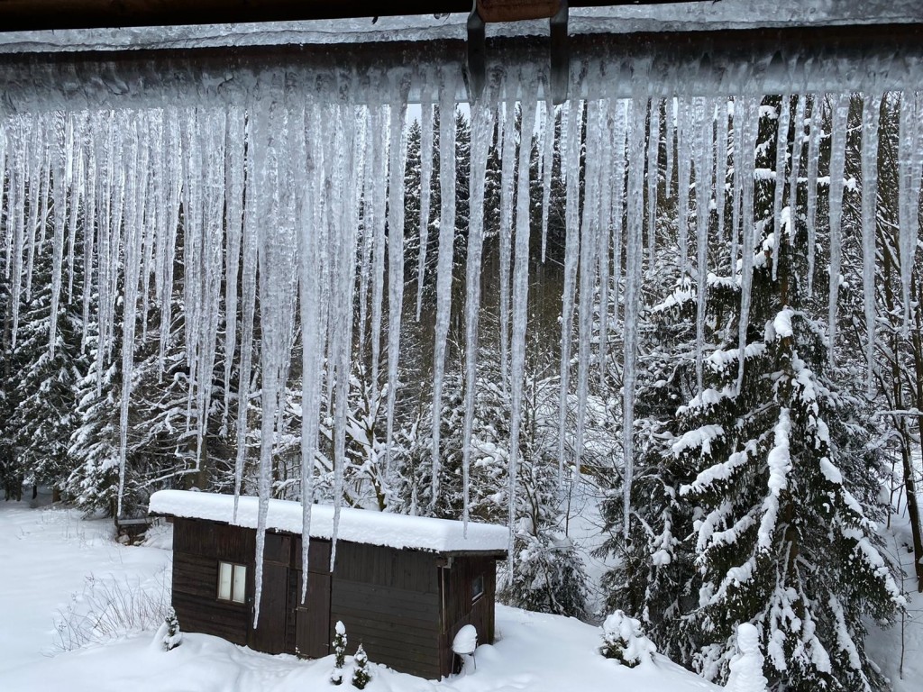 Ostatní (Fotogalerie)