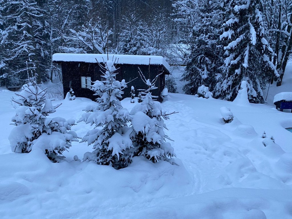 Ostatní (Fotogalerie)